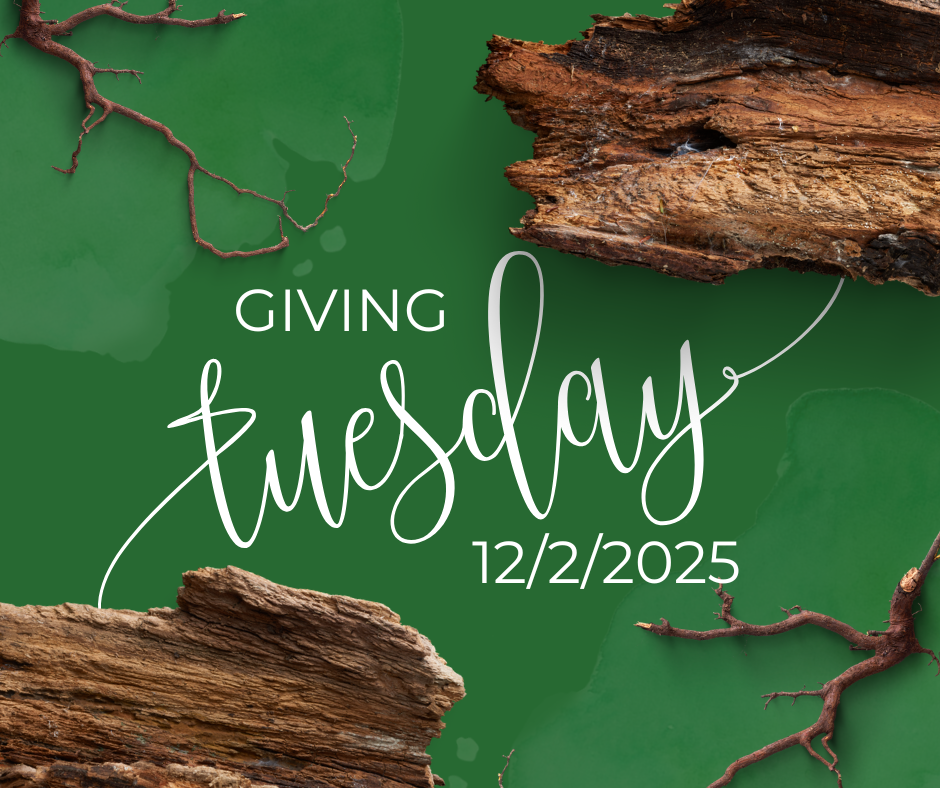 Giving Tuesday